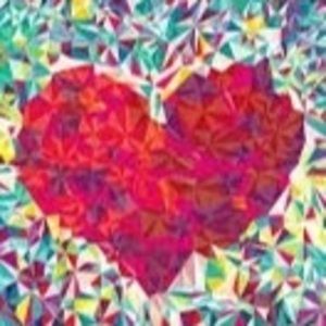 Meet your Posher, Sadie